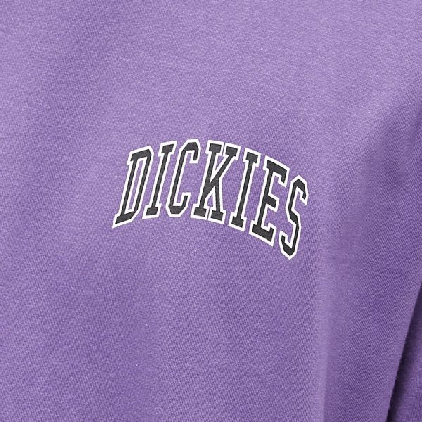 Dickies Aitkin Chest Logo T-Shirt