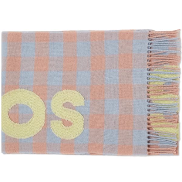 Acne Studios Veda Logo Check Scarf