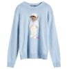 Polo Ralph Lauren Hemingway Bear Crew Neck Jumper