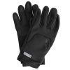 Arc'teryx Venta Glove