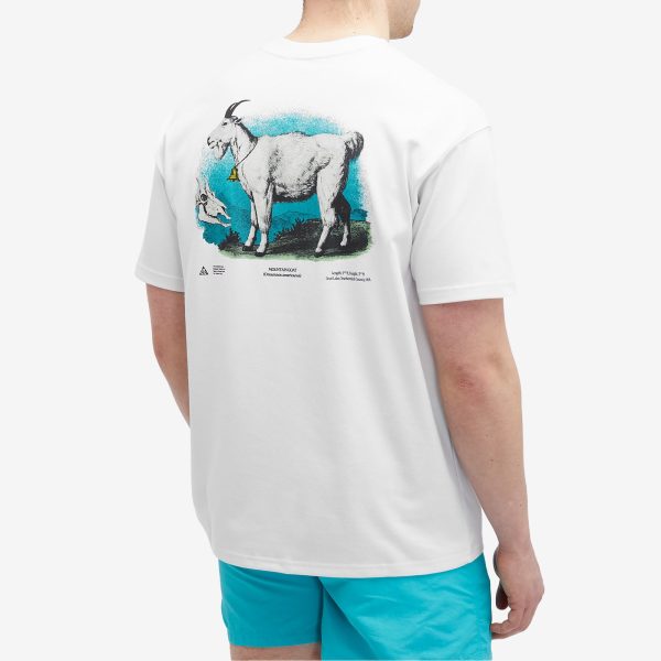 Nike ACG Goat Rocks Dri-Fit T-Shirt