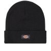 Dickies Gibsland Beanie