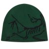 Arc'teryx Bird Head Toque