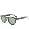 Moscot Lemtosh Sunglasses