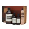 Aesop Screen 1 Elaborate Home Offering Set