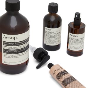 Aesop Screen 1 Elaborate Home Offering Set