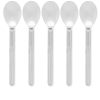 HAY Sunday Spoon - Set of 5