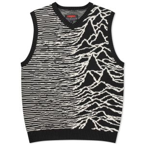 Pleasures Interzone Knitted Vest