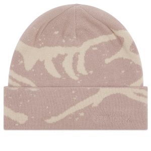 Arc'teryx Grotto Toque