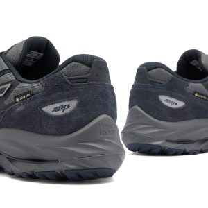 Mizuno Wave Rider Beta GTX