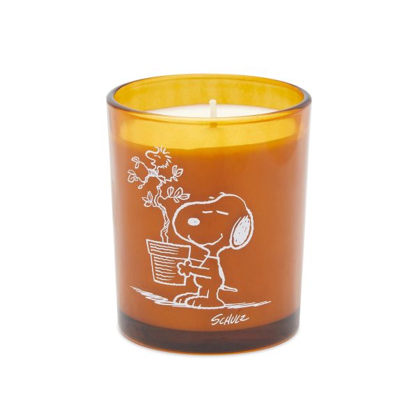 Peanuts Candle - Blooms