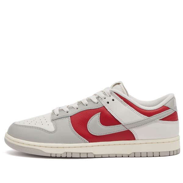 Nike Dunk Low Retro Sneaker