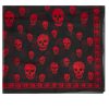 Alexander McQueen Chiffon Skull Scarf