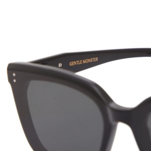 Gentle Monster Tote Sunglasses