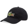 Lacoste Robert Georges Core Cap