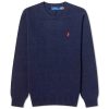 Polo Ralph Lauren Crew Knit