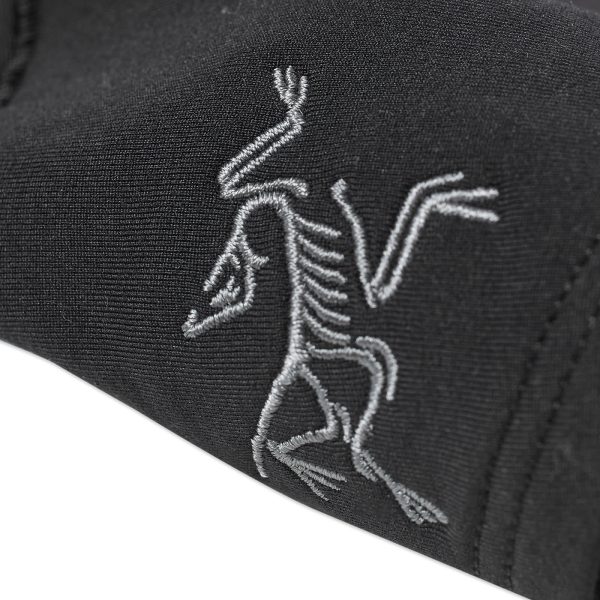 Arc'teryx Rho Balaclava