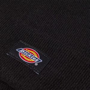 Dickies Gibsland Beanie