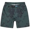 KAVU Chilli H2O Shorts