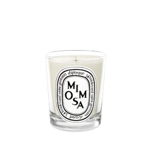 diptyque Standard Table Candle